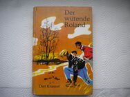 Der wütende Roland,Diet Kramer,Schweizer Jugend Verlag,1964 - Linnich