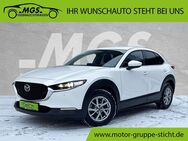 Mazda CX-30, Selection ##KLMA##, Jahr 2019 - Bayreuth