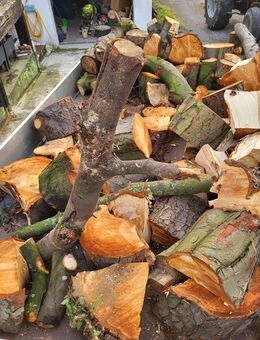 Stamm-Holz Kaminholz Hartholz Ofenholz Laubholz - Dortmund Lichtendorf