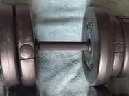 Kurzhantelset 25 kg - Haan