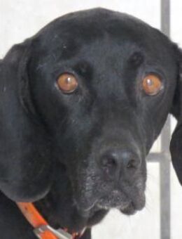 Mommy -liebt Menschen,die sie kennt- - Oldenburg