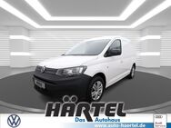 VW Caddy, 2.0 TDI CARGO MAXI ECOPROFI ( EUR, Jahr 2022 - Osnabrück