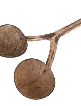 TIAKI Sitzstange mit Kokosnuss-Näpfen - L 30 x B 22 x H 5 cm