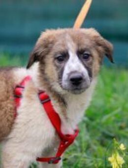 Tabeta wartet auf ihren Start ins Leben - München