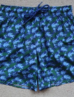 Lacoste Minecraft Badeshorts Badehose Swimshorts blau grün S - Niddatal