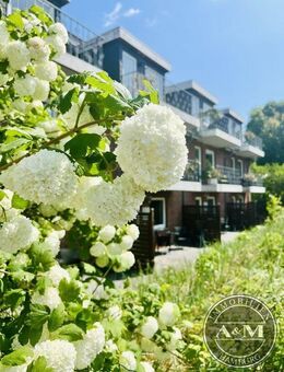 MODERNE APARTMENTANLAGE - ideal zur Ferien- und / oder Festvermietung! - Wangels