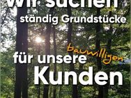 Einfamilienhaus gesucht in Eckental ? Grundstück vorhanden !!! - Eckental