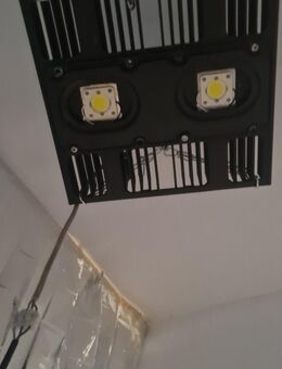 Lampe Leuchter Strahler Grow Anbau - Leipzig