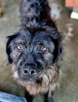 Marvin sucht seine Familie - Bochum