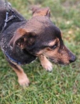 MAX - hey Leute wir wollen losgehen - Overath