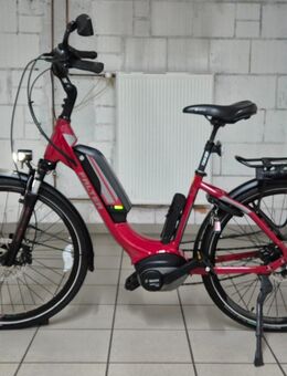 E-Bike FALTER E 9.5 26"Zoll Bosch Active Line Plus Motor 500Wh 13.4Ah 36V Bosch Akku.1 A Zustand und hohe Akkureichweite. - Marl (Nordrhein-Westfalen)