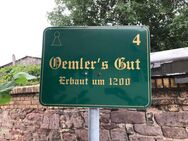 Wohnanlage "Oemler´s Gut" - große 2-Raum-Wohnung - Klostermansfeld