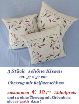 DREI schöne, neuwertige DEKO - Kissen + - Nürnberg