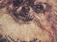 Shirt Gr. XXLMotiv Pomeranian Spitze. Pflegeleicht. 2 x getragen - Wuppertal