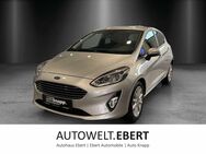 Ford Fiesta, 1.0 Ecoboost Titanium, Jahr 2019 - Frankenthal (Pfalz)