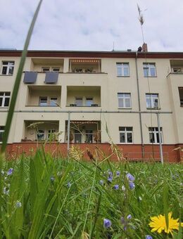 Frisch sanierte 2-Zimmerwohnung mit sonnigem Balkon - Dresden