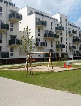 1 Zimmer-Whg. mit Balkon und Einbauküche / Wohnen am Ringgleis - Braunschweig