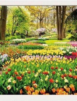 Artland Wandbild Fensterblick Tulpen Garten Frühling, Fensterblick (1 St), als Alubild, Outdoorbild, Leinwandbild, Poster, Wandaufkleber