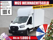 Ford Transit, 0.5 350 L4 Koffer###2mÂ³#, Jahr 2022 - Wunsiedel