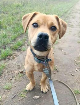 Dini möchte endlich ankommen - Berlin