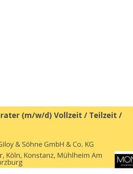 Verkaufsberater (m/w/d) Vollzeit / Teilzeit / Aushilfe - Konstanz