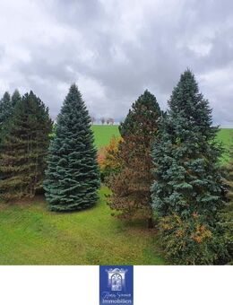 Individuelle Dachwohnung mit herrlichen Blickbeziehungen in ländlicher Umgebung! - Klingenberg