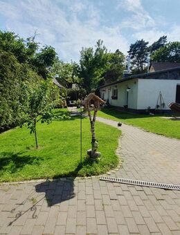 Süßes Bungalow mit Pool und Werkstatt in Seenähe - Grünheide (Mark)