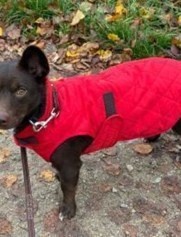 Veronica; wo darf sie ankommen? - Geilenkirchen