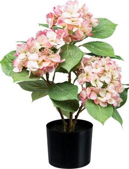 Kunstpflanze Hortensienbusch Hortensie, Creativ green, Höhe 53 cm, mit traumhaft schönen Blüten