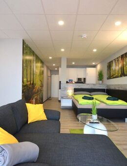 ab Januar frei: Geräumiges 1-Zimmer-Apartment mit Balkon, voll ausgestattet in Marktheidenfeld - Marktheidenfeld