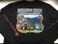 Harley Davidson Original Herren Langarm Shirt Mountain Creek Dalton, Georgia Gr.XL - Fulda