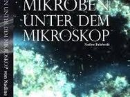 Dunkelfeldmikroskopie Vitalblutanalyse Blutbetrachtung BukVitaN - Grafenrheinfeld