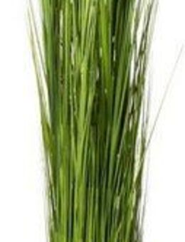 Kunstgras Grasarrangement selbststehend Gras, Botanic-Haus, Höhe 145 cm