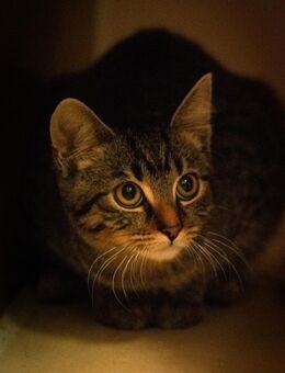 Pablo u. Raiko - Schwielowsee