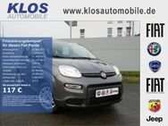 Fiat Panda, 1.0 HYBRID GSE 70PS E6D FINAL TECH, Jahr 2023 - Marpingen