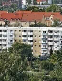 Tolle 1-Raum-Wohnung mit tollem Blick über den Fockendorfer Grund - Zeitz