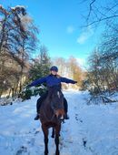 Wunderschönes Karakachen Pferd zu verkaufen!!! in 88239