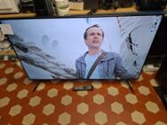 Samsung Led TV 50 Zoll smart - Kassel