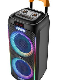 Denver TSP-456 Trolley Speaker Party-Lautsprecher (Bluetooth, 60 W, 60 W RMS, Fernbedienung und kabelgebundenes Mikrofon inklusive)