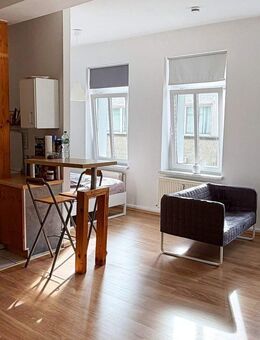 Möblierte 1-Zimmer-Wohnung mit Dachterrasse zur Mitbenutzung - Köthen (Anhalt)