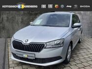 Skoda Fabia Combi 1.0 TSI Ambition - Altenkirchen (Westerwald)