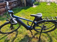 Giant Trecking E-Bike Explore E+ GTS - Braunschweig