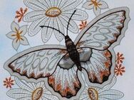 Stickereien Plauen Fensterbild Schmetterling