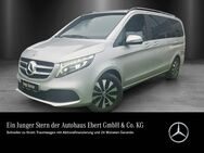 Mercedes V 300, d L DISTRO LiegePkt GSD, Jahr 2022 - Weinheim