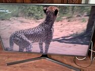 Samsung Smart TV UE43NU7452 4K Ultra HD ( mit PVR…! ) - Essen