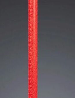 Stehlampe LED LEIA mit Fernbedienung 104 cm Metall/Acryl chromfarbig/transpar - Stolberg (Rheinland, Kupferstadt)