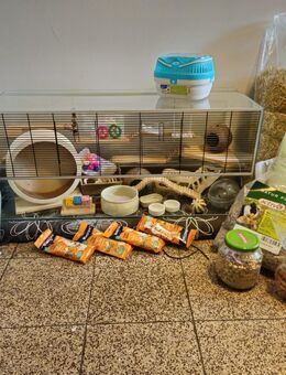 Hamsterkäfig mit viel Zubehör - Nürnberg
