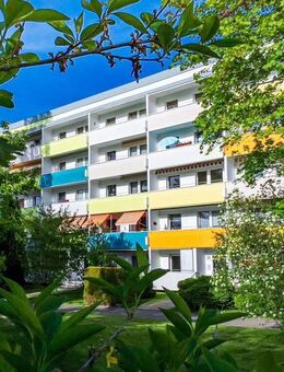 Wohnvergnügen verteilt auf 3 Zimmer - Zwickau