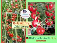 ♥ Ur Wild Tomate Rote Murmel 15 Jh. Freilandsorte 15 Samen Alte Sorte,Tulpenstolz,samenfest - Hamburg