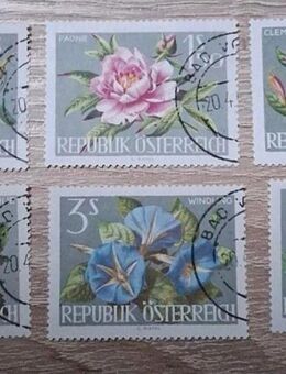 Briefmarken Österreich 1964 Blumen Satz komplett gestempelt - Görlitz